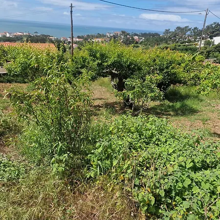 Quinta Da Avo Bella *